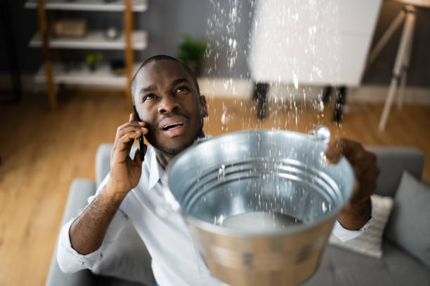 Best Sewage cleanup and water damage restoration  in Centerville, IN