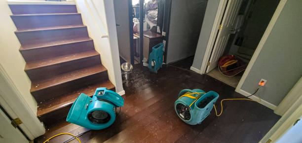 Best Water damage restoration near me  in Centerville, IN
