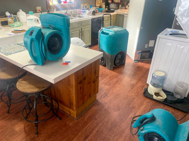  Centerville, IN Water damage restoration Pros