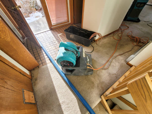 Best Basement water damage restoration  in Centerville, IN