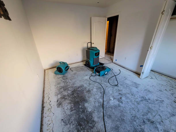 Best Professional water damage repair  in Centerville, IN