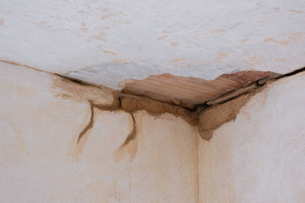 Best Water damage restoration near me  in Centerville, IN