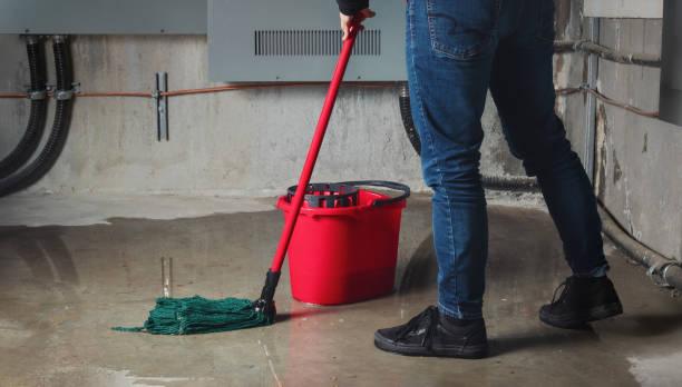Best 24/7 water damage repair  in Centerville, IN