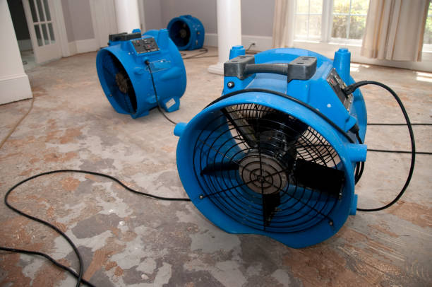 Best Water damage cleanup near me  in Centerville, IN