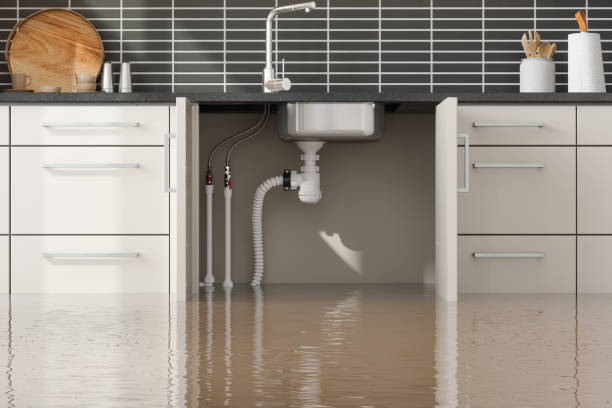 Best Flood restoration services  in Centerville, IN