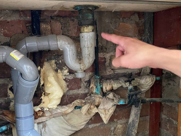 Best Flooded house restoration  in Centerville, IN